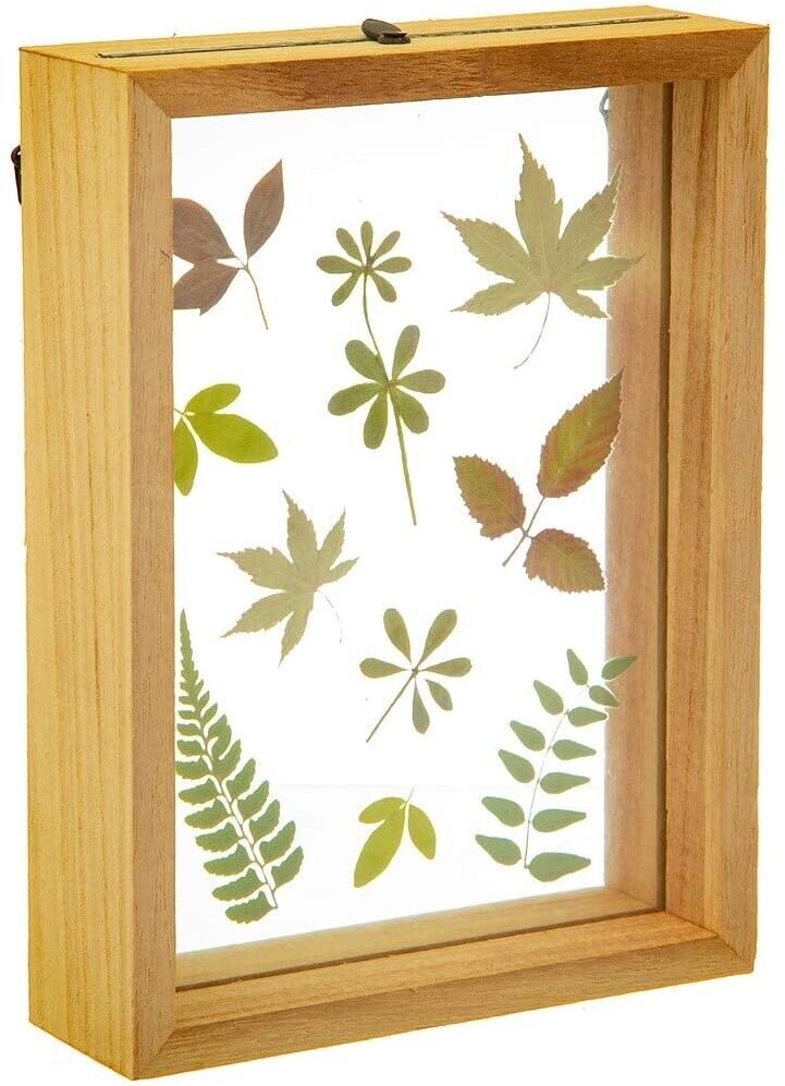 Herbarium Print Frame image 1