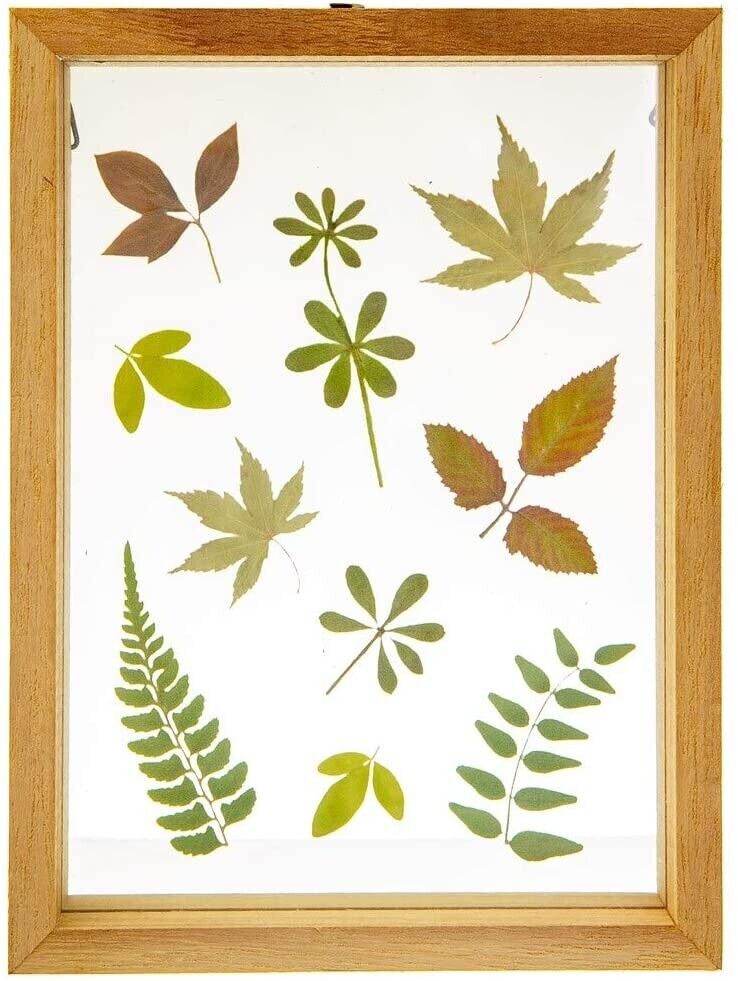 Herbarium Print Frame image 0