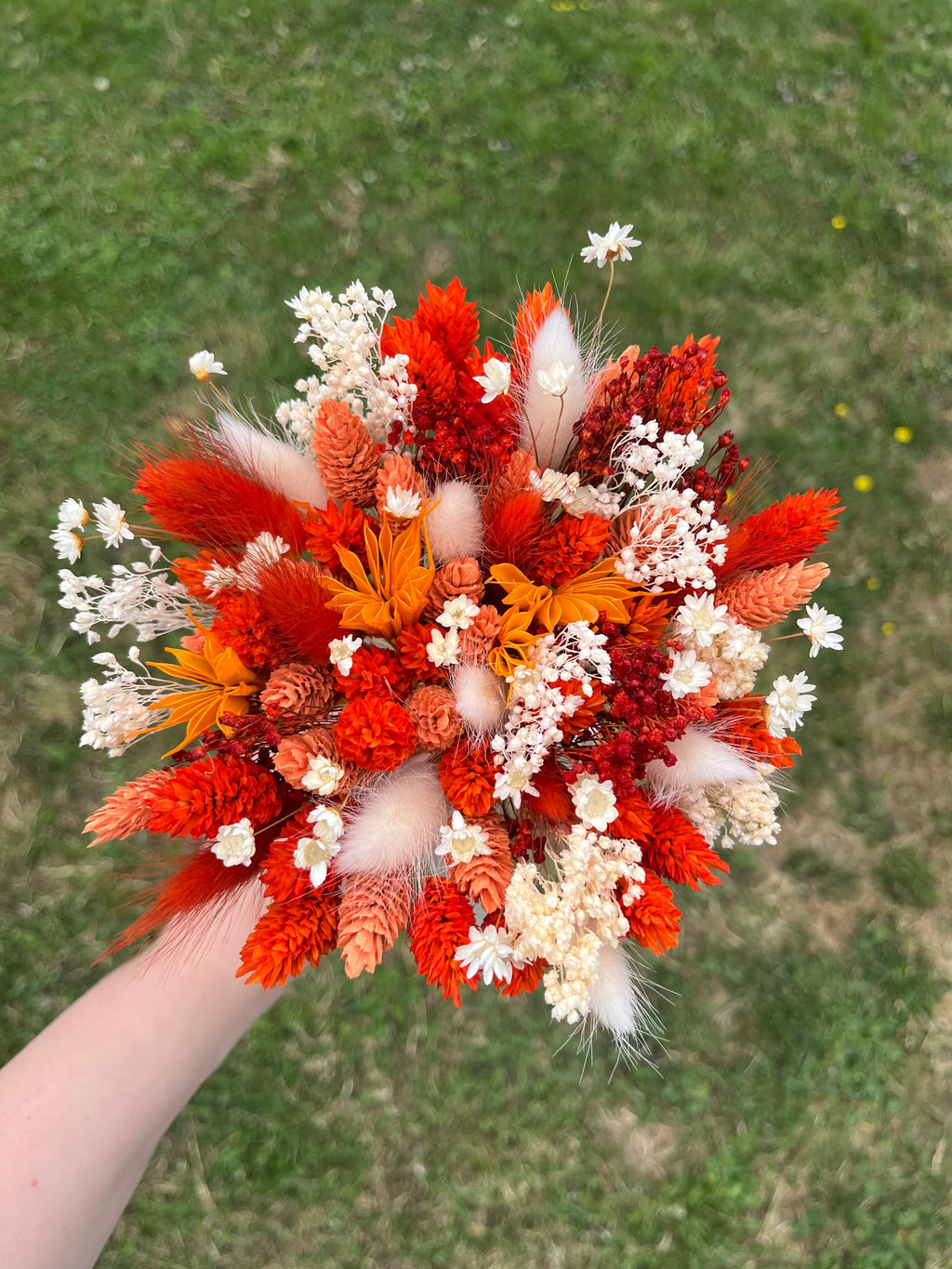 Sunkissed Daisy image 3