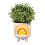 Rainbow Planter on Legs image 1