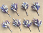 Violet Buttonholes image 1