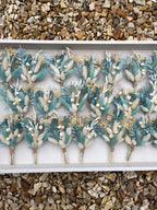 Amy Buttonholes image 2