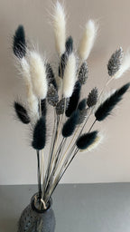 Mini Monochrome image 2