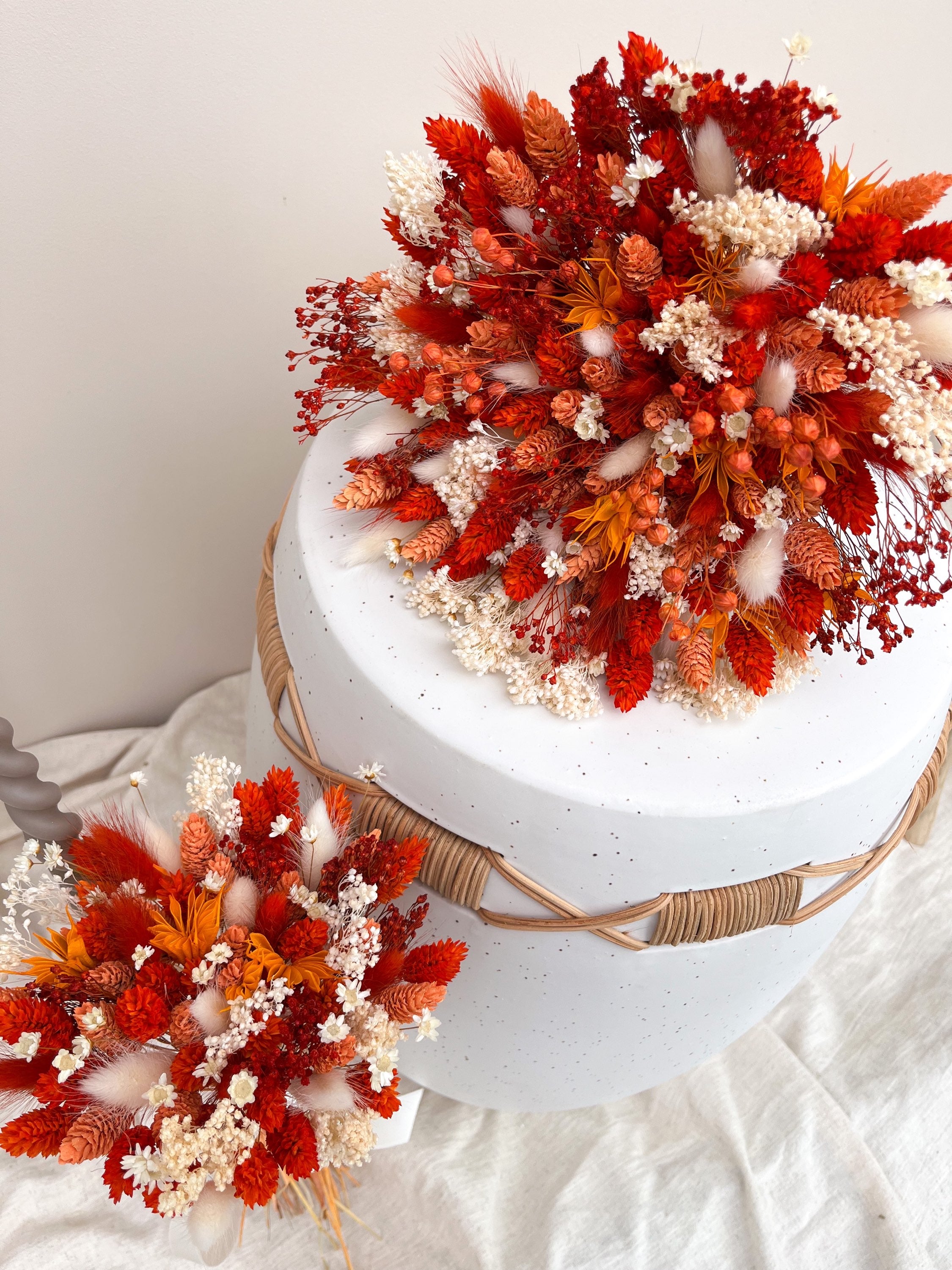 Sunkissed Daisy image 4