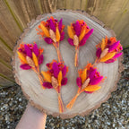 bright orange and hot pink dried flower buttonholes displayed on wood background