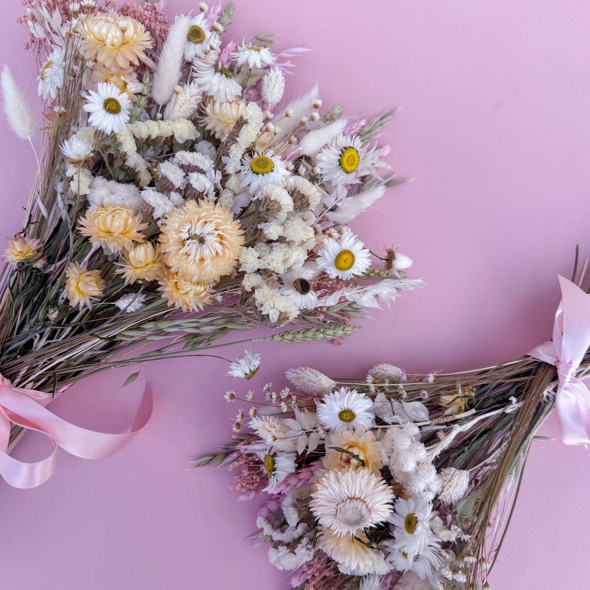 Two dried flower bouquets with white daisies, pale cream blossoms, and soft pink accents, tied with pink ribbons, arranged on a solid pink background.