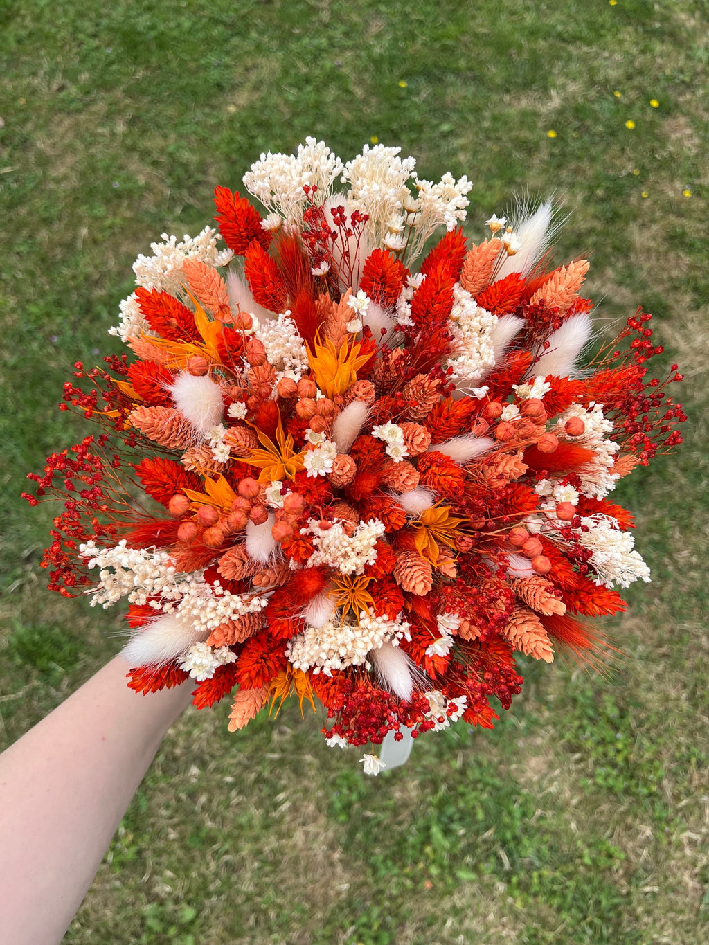 Mini Sunkissed Daisy image 1