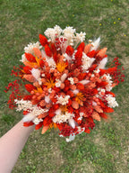 Mini Sunkissed Daisy image 1