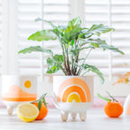 Rainbow Planter on Legs image 0