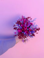 Raspberry image 6
