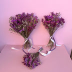 mixed purple dry statice bunches