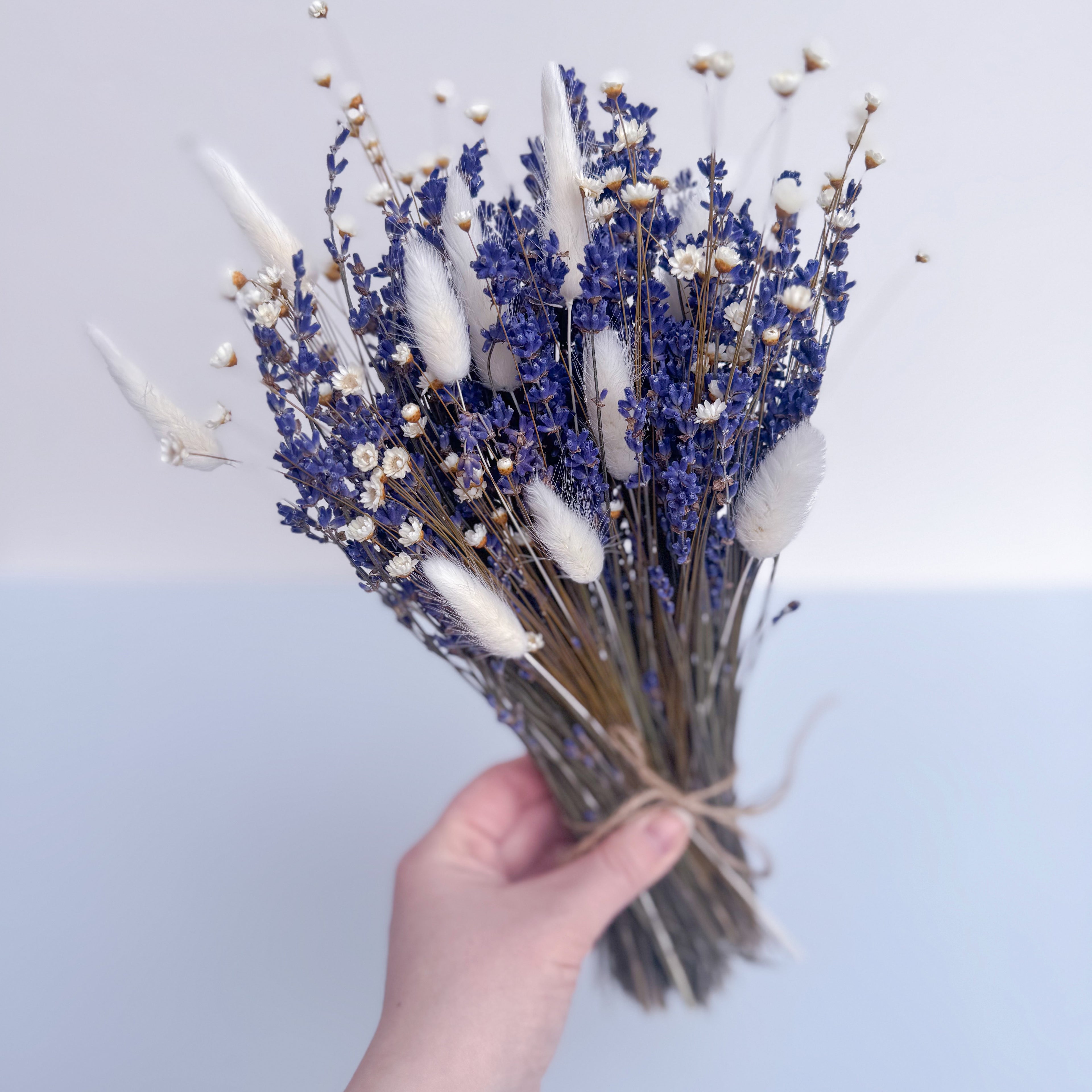 small bunch of dried lavender with white bunny tails