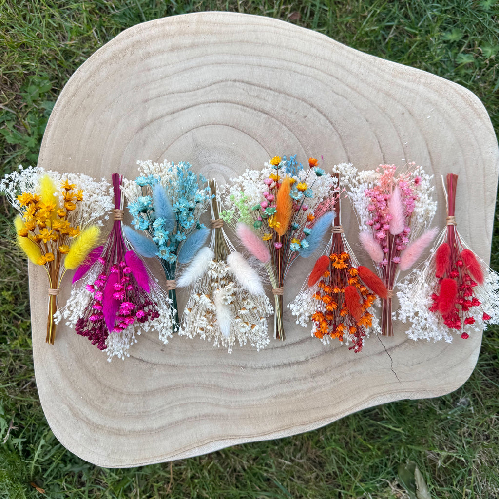 colourful rainbow dried flower buttonhole