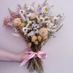 A hand holding a dried flower bouquet with white daisies, cream helichrysums, pink filler flowers, and bunny tails tied with a light pink ribbon, against a pale pink background.