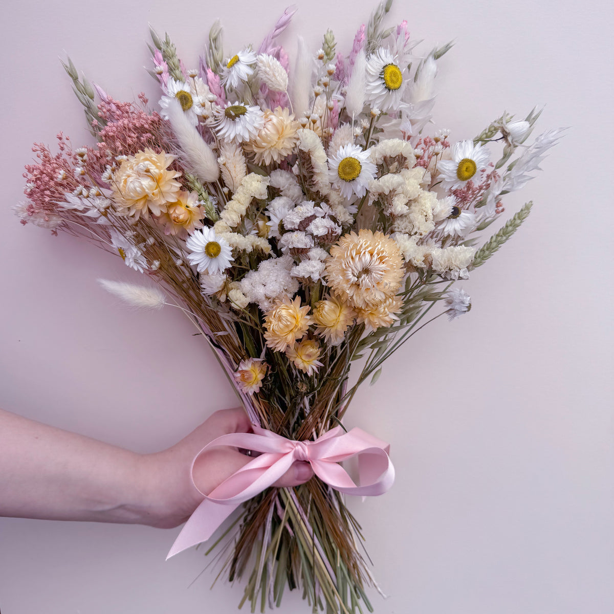 A hand holding a dried flower bouquet with white daisies, cream helichrysums, pink filler flowers, and bunny tails tied with a light pink ribbon, against a pale pink background.